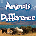 Differenze animali